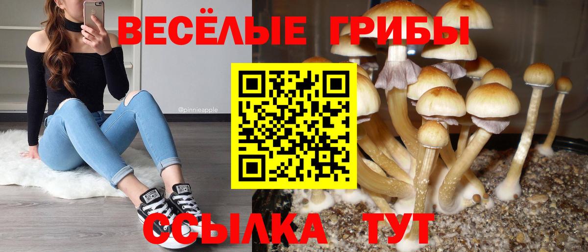 Георгиевск  Галлюциногенные грибы GOLDEN TEACHER  Вход с VPN 